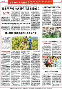 重慶高等院校技術轉讓成果豐碩，去年簽訂合同730項推動創新發展